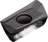 XDPT170412PESRMM WS40PM