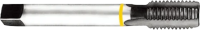 TC463246