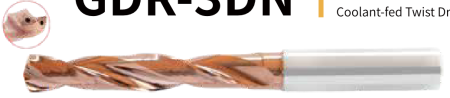 GDR-JF3N0085