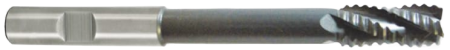 GAE43200